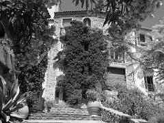 183 D23 BORMES LES MIMOSAS 1_000032